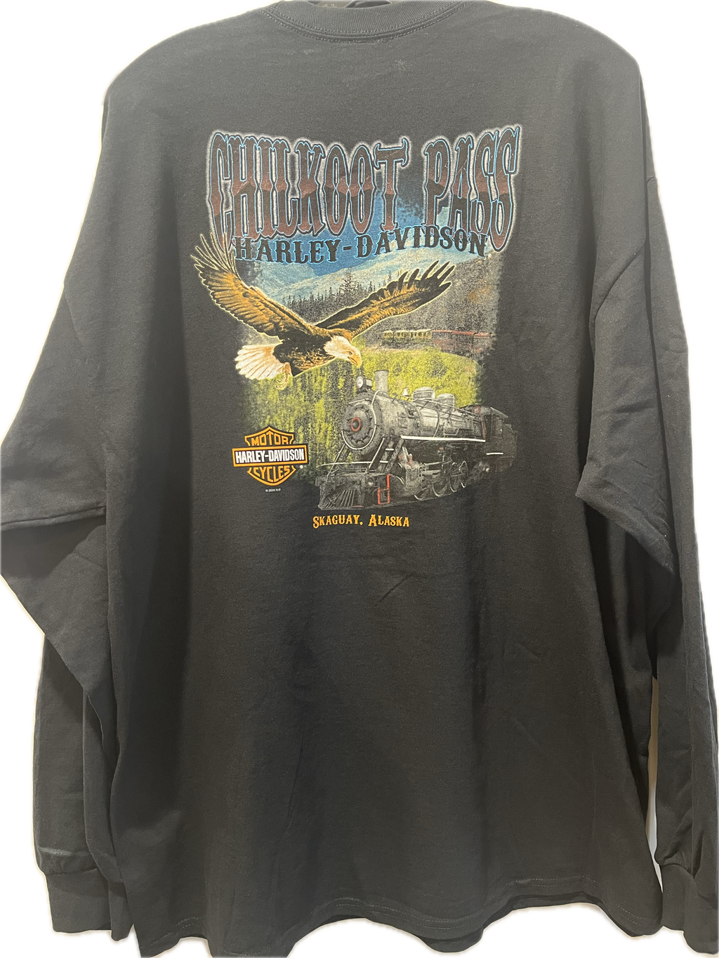 Eagle Train - Mens Shirt