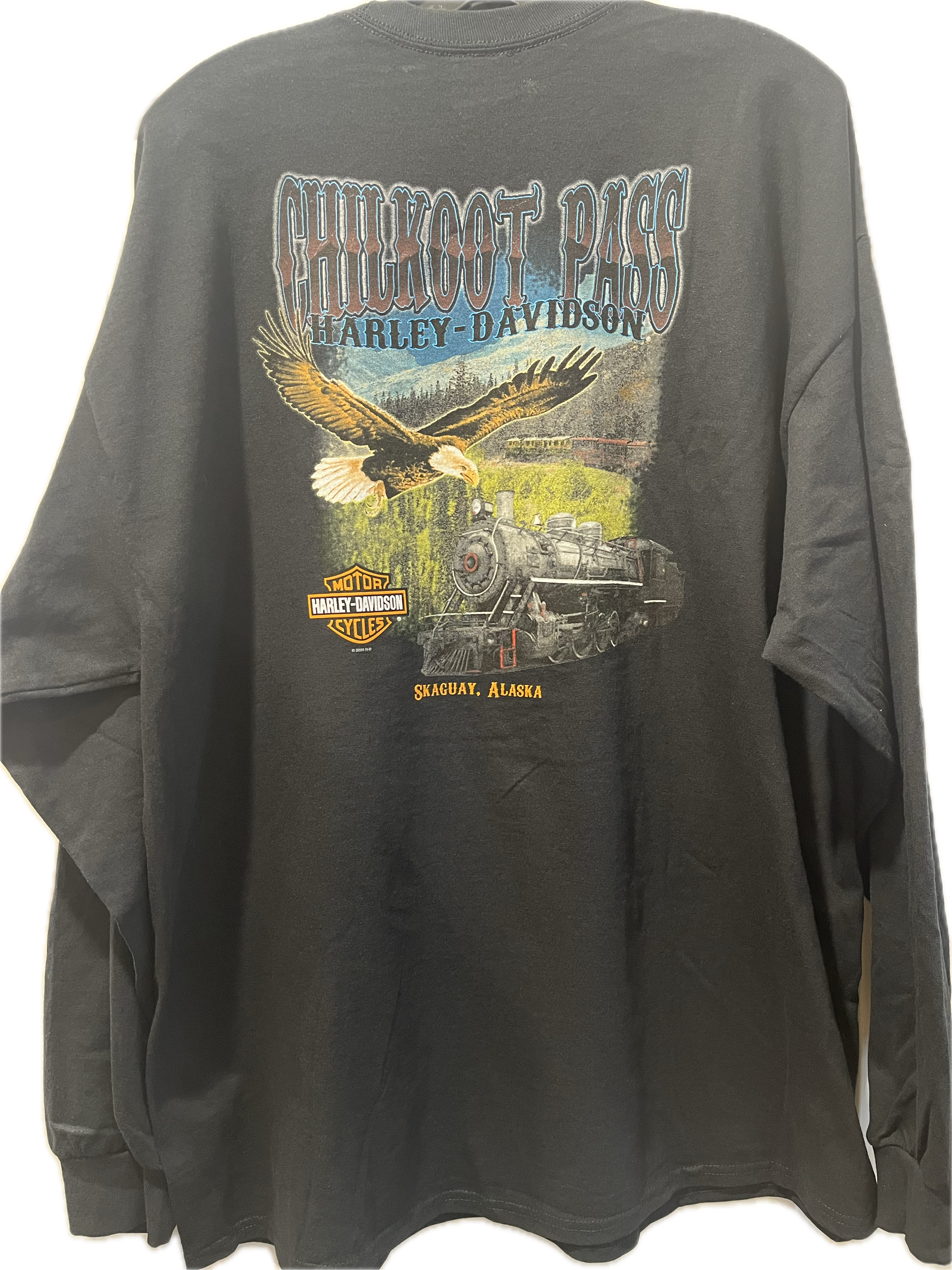 Eagle Train - Mens Shirt