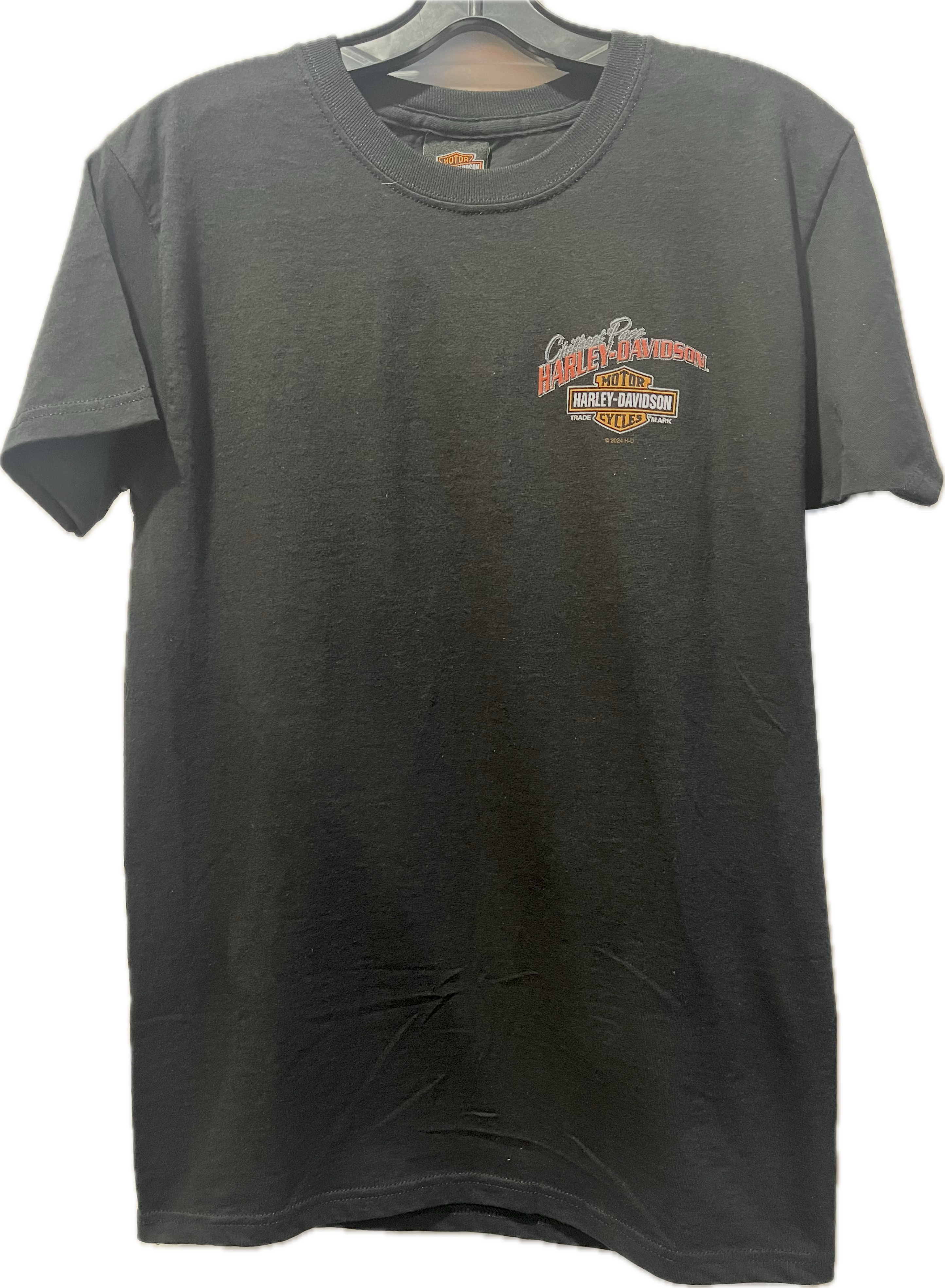 Gold Pan - Mens Shirt